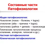 Иллюстрация №1: ВВЕДЕНИЕ В ПАТОФИЗИОЛОГИЮ (Презентации - Медицина).